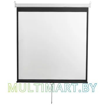 Проекционный экран Digis Optimal-D 206x209 (DSOD-1105)
